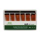 Gutta Percha