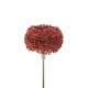 Plain Cloth Brush With Handle MSH78WH-PR