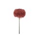 Plain Cloth Brush With Handle MSH78WH-PR