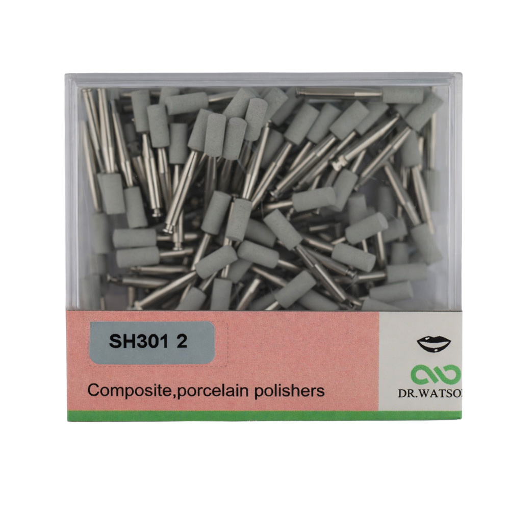 Silicon Polishers for Porcelain and Resin SH 301 2